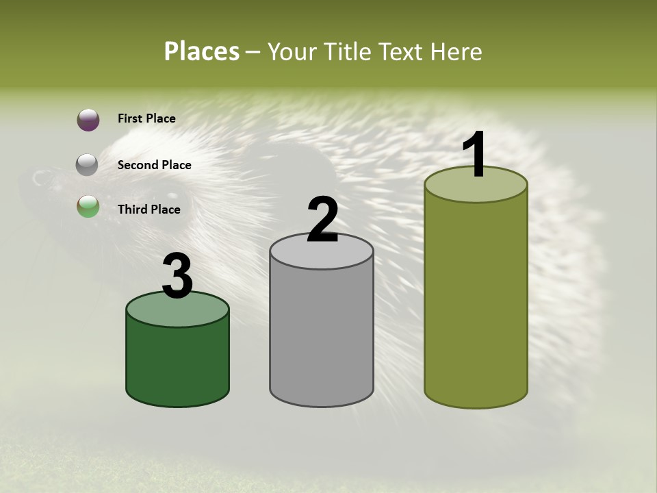 Shot Wildlife Protection PowerPoint Template