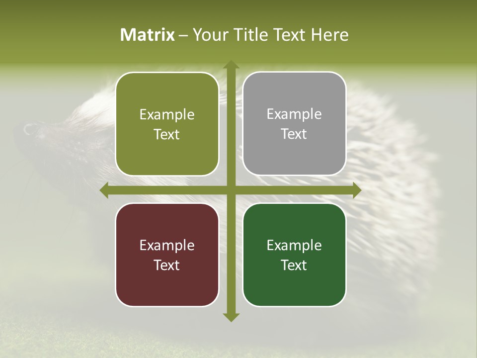 Shot Wildlife Protection PowerPoint Template