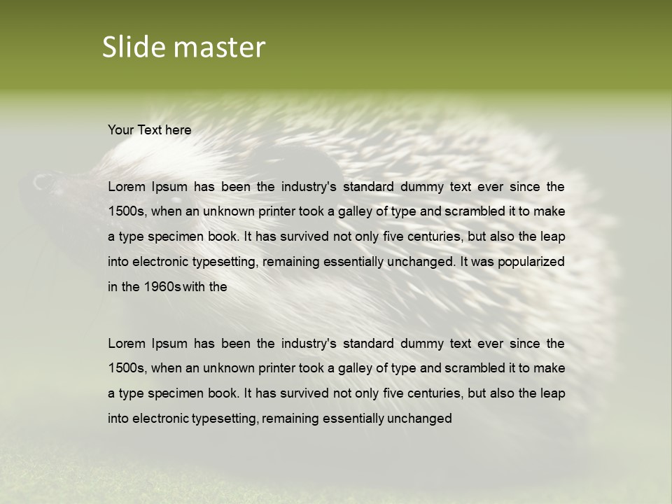 Shot Wildlife Protection PowerPoint Template