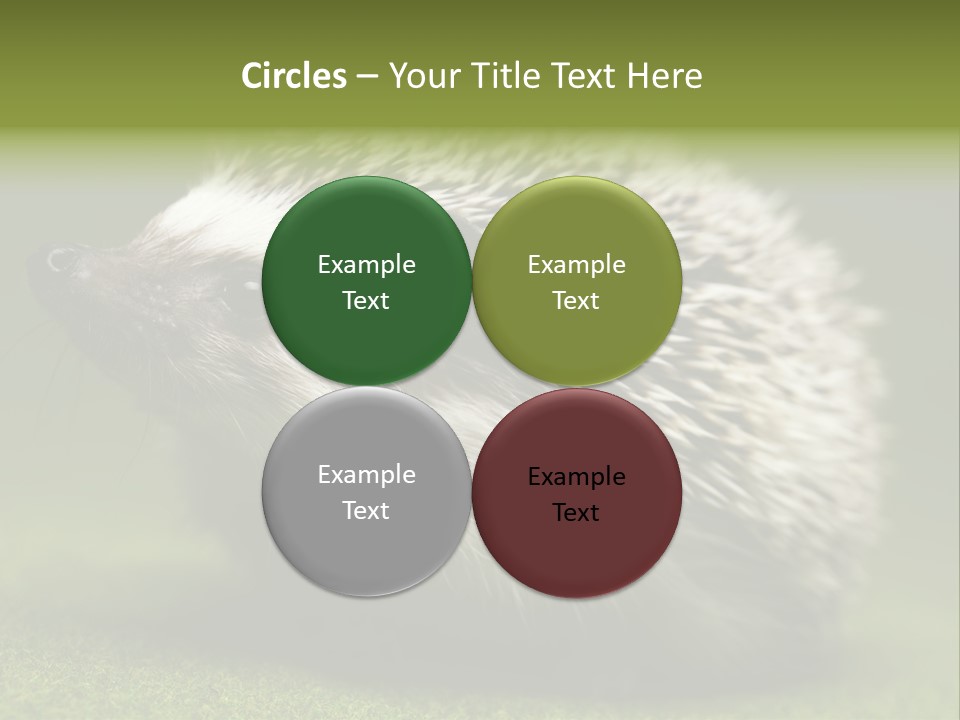 Shot Wildlife Protection PowerPoint Template