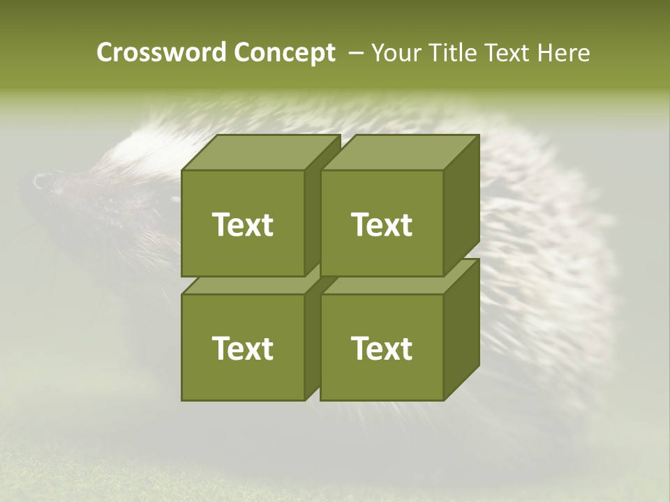 Shot Wildlife Protection PowerPoint Template
