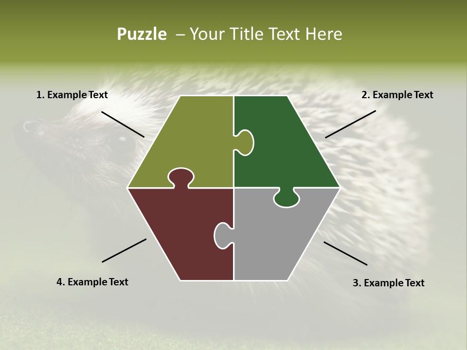 Shot Wildlife Protection PowerPoint Template