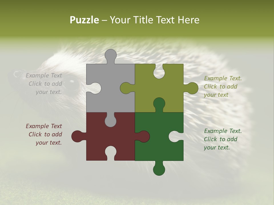 Shot Wildlife Protection PowerPoint Template