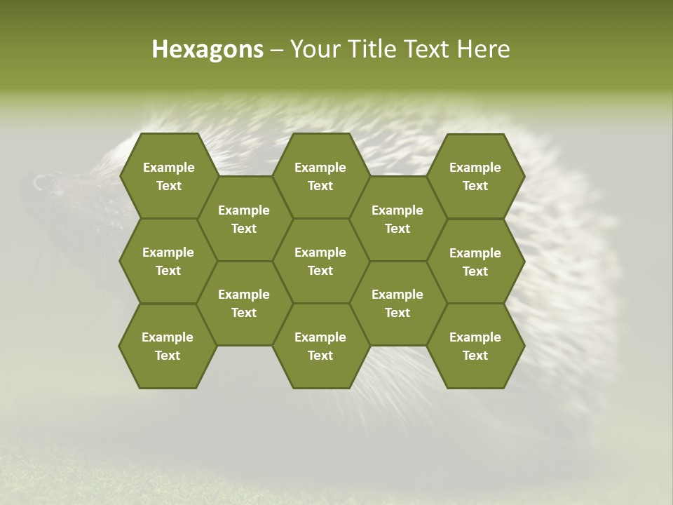 Shot Wildlife Protection PowerPoint Template