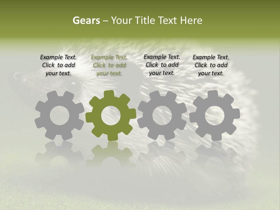 Shot Wildlife Protection PowerPoint Template