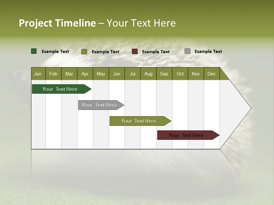 Shot Wildlife Protection PowerPoint Template