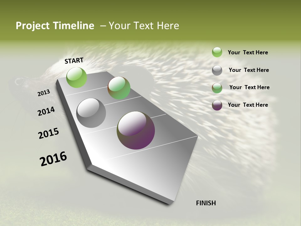 Shot Wildlife Protection PowerPoint Template