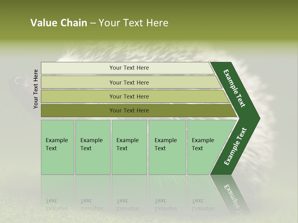 Shot Wildlife Protection PowerPoint Template