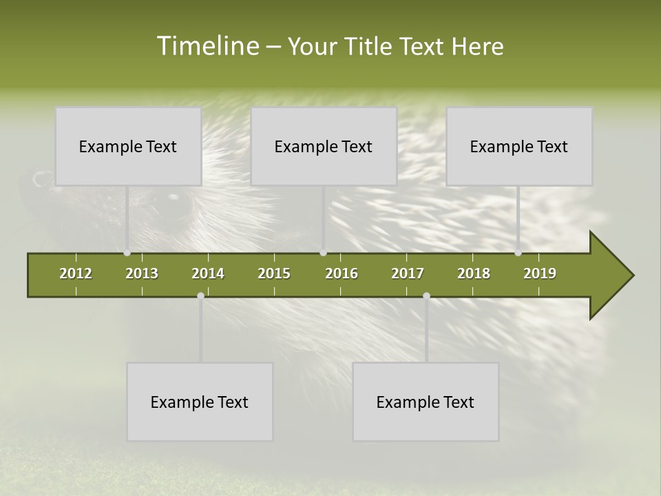 Shot Wildlife Protection PowerPoint Template