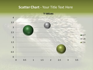 Shot Wildlife Protection PowerPoint Template