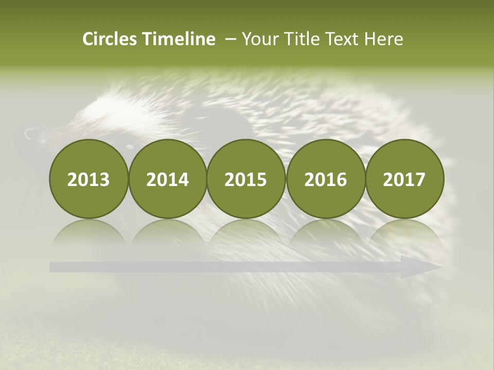 Shot Wildlife Protection PowerPoint Template