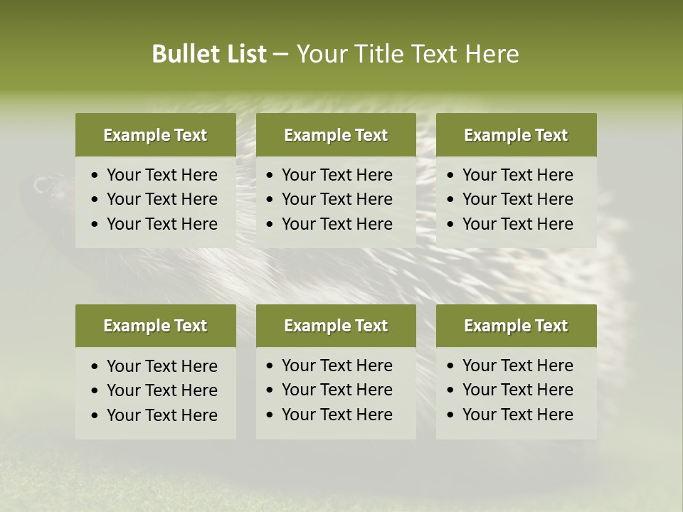 Shot Wildlife Protection PowerPoint Template