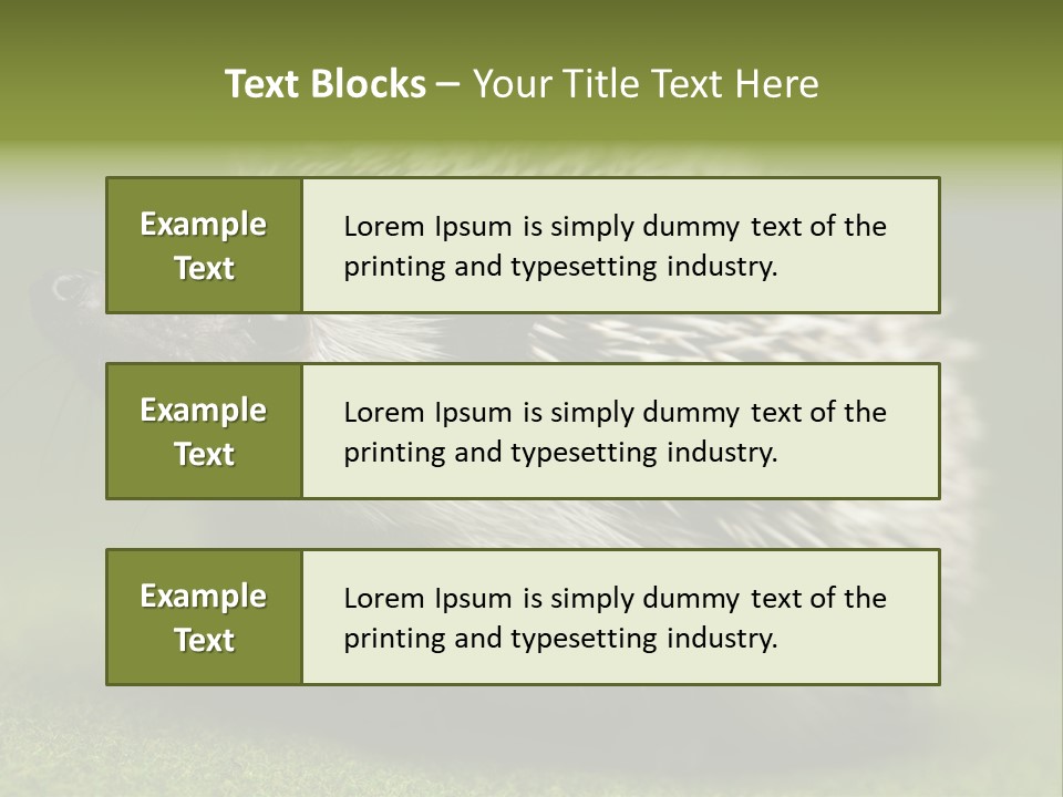 Shot Wildlife Protection PowerPoint Template