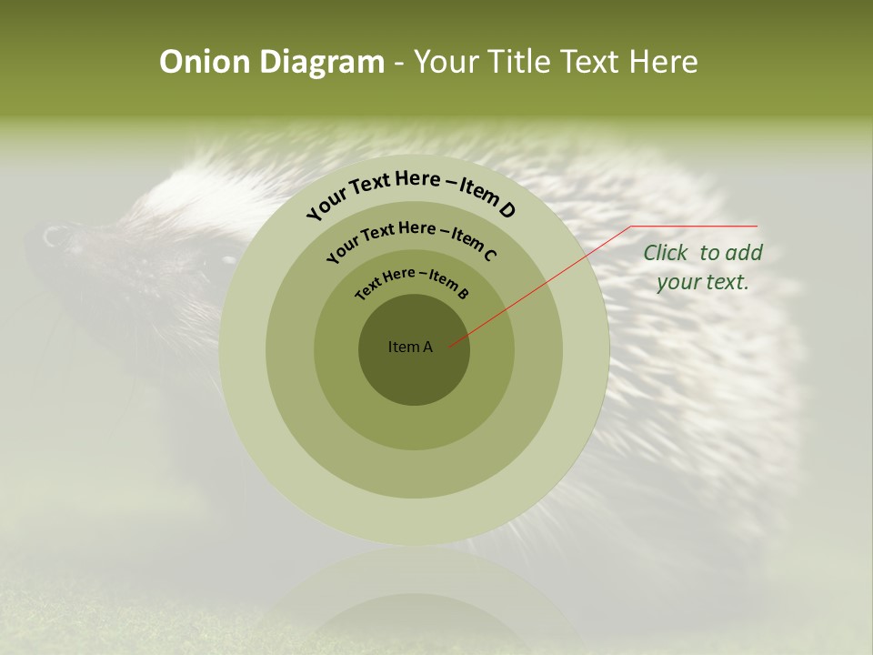 Shot Wildlife Protection PowerPoint Template