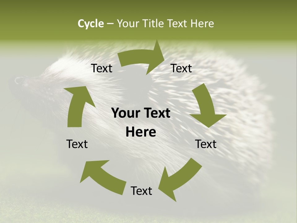 Shot Wildlife Protection PowerPoint Template