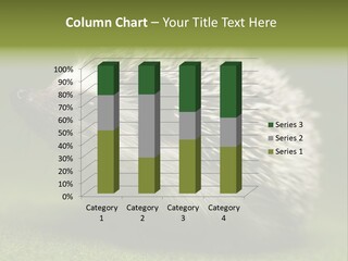 Shot Wildlife Protection PowerPoint Template