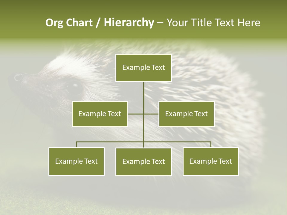 Shot Wildlife Protection PowerPoint Template