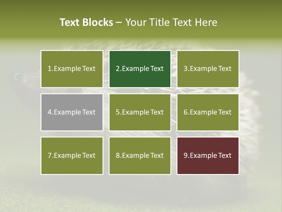 Shot Wildlife Protection PowerPoint Template