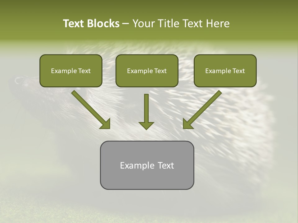 Shot Wildlife Protection PowerPoint Template