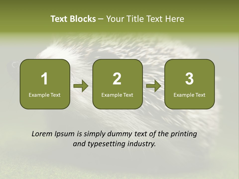 Shot Wildlife Protection PowerPoint Template
