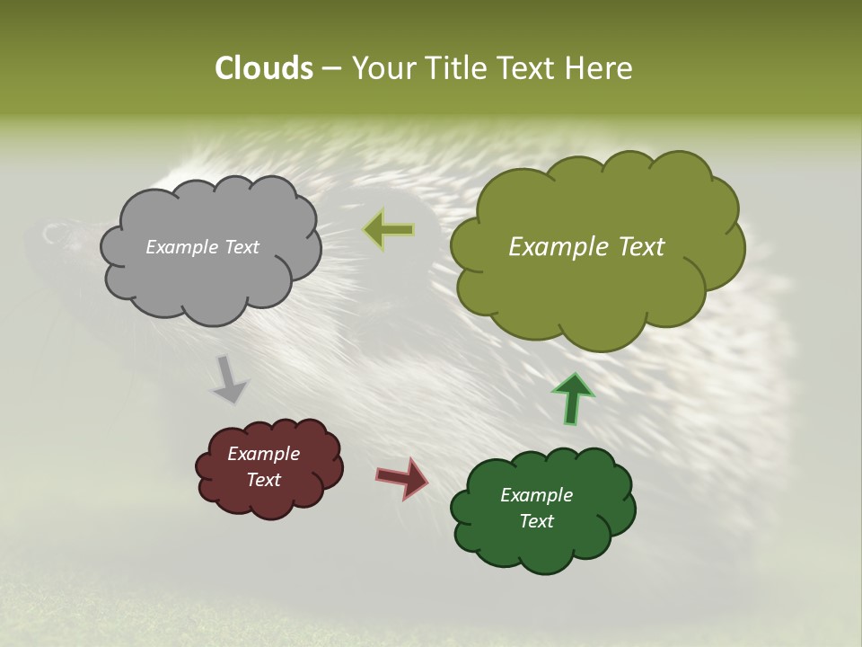 Shot Wildlife Protection PowerPoint Template