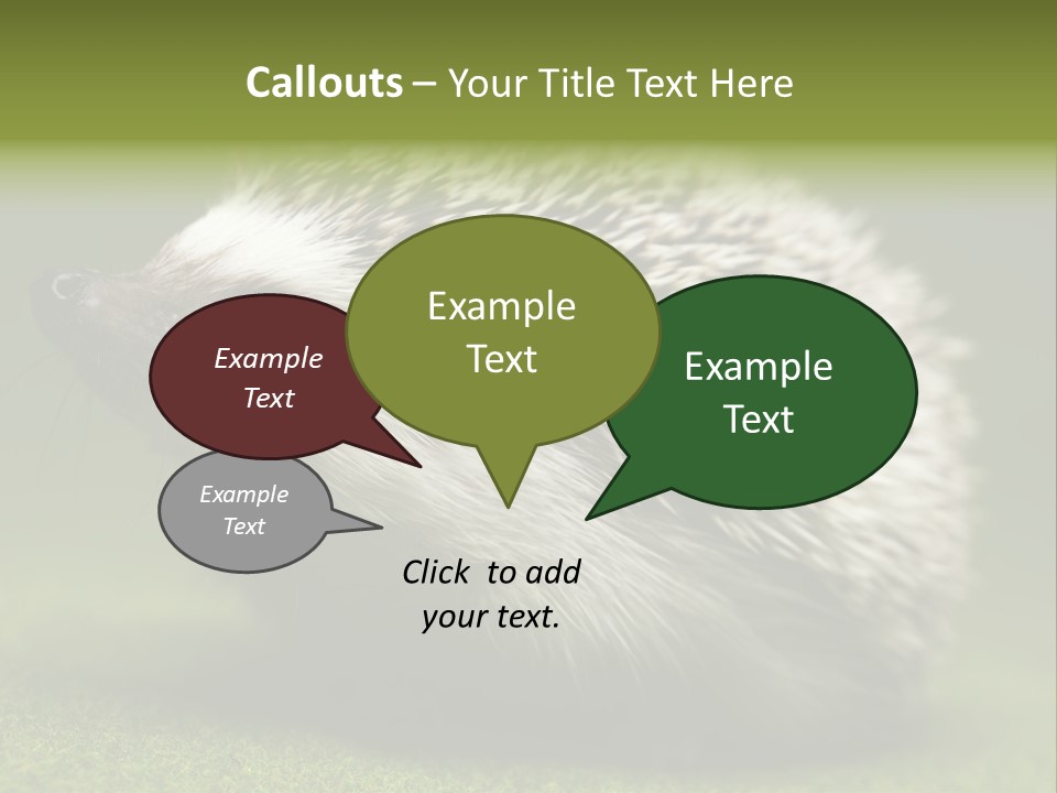 Shot Wildlife Protection PowerPoint Template