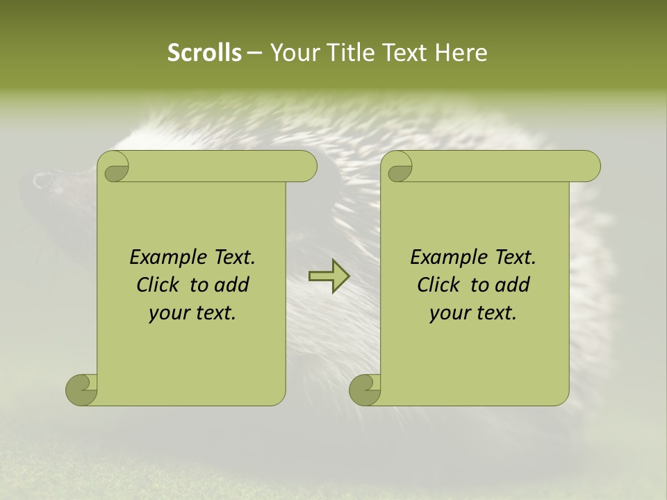 Shot Wildlife Protection PowerPoint Template