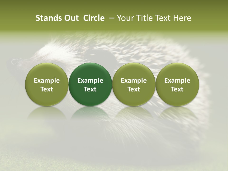 Shot Wildlife Protection PowerPoint Template