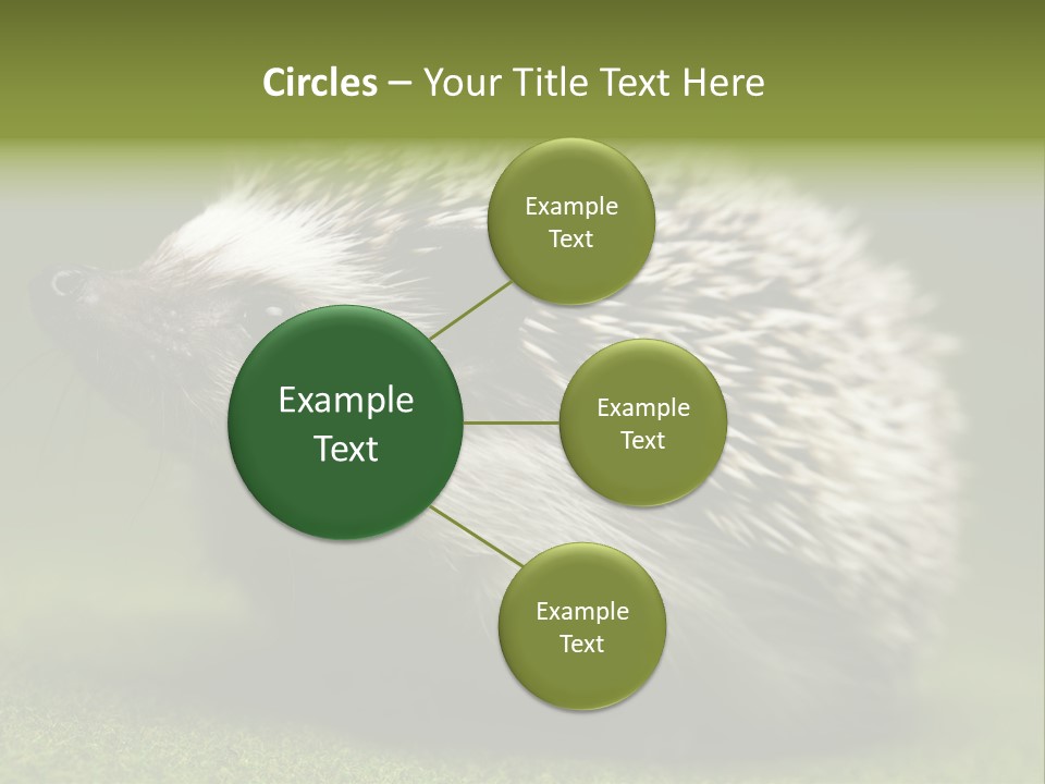 Shot Wildlife Protection PowerPoint Template