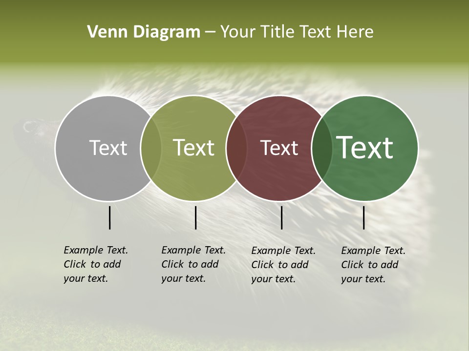 Shot Wildlife Protection PowerPoint Template