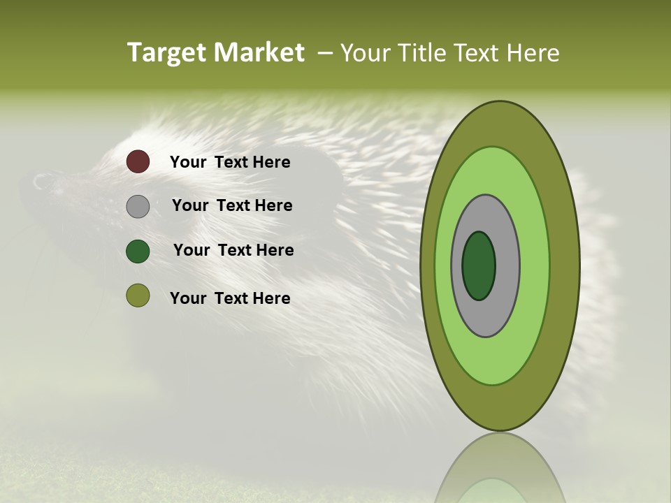 Shot Wildlife Protection PowerPoint Template