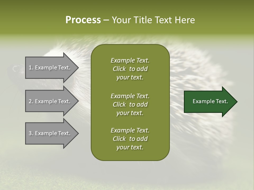 Shot Wildlife Protection PowerPoint Template