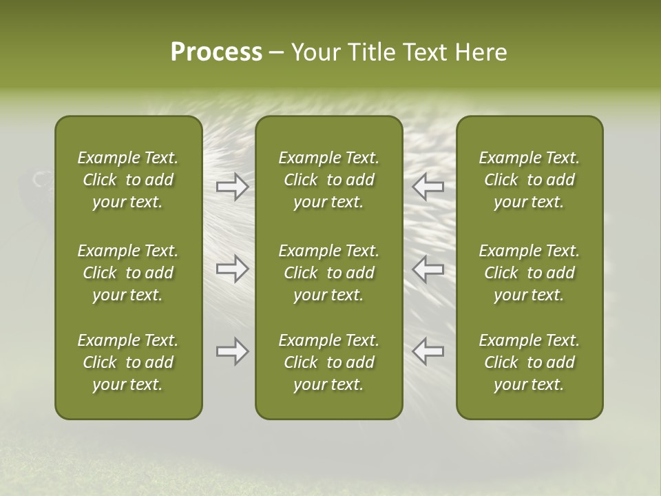 Shot Wildlife Protection PowerPoint Template