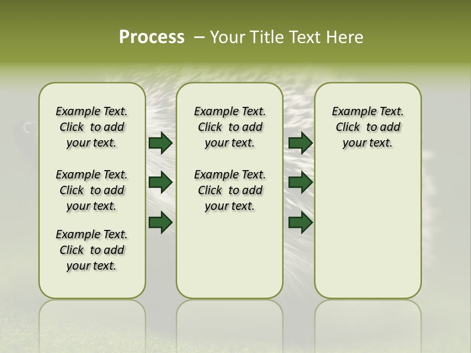 Shot Wildlife Protection PowerPoint Template