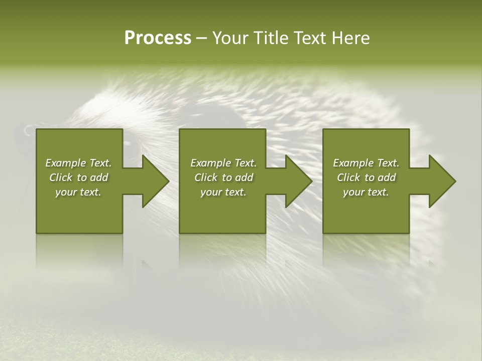 Shot Wildlife Protection PowerPoint Template