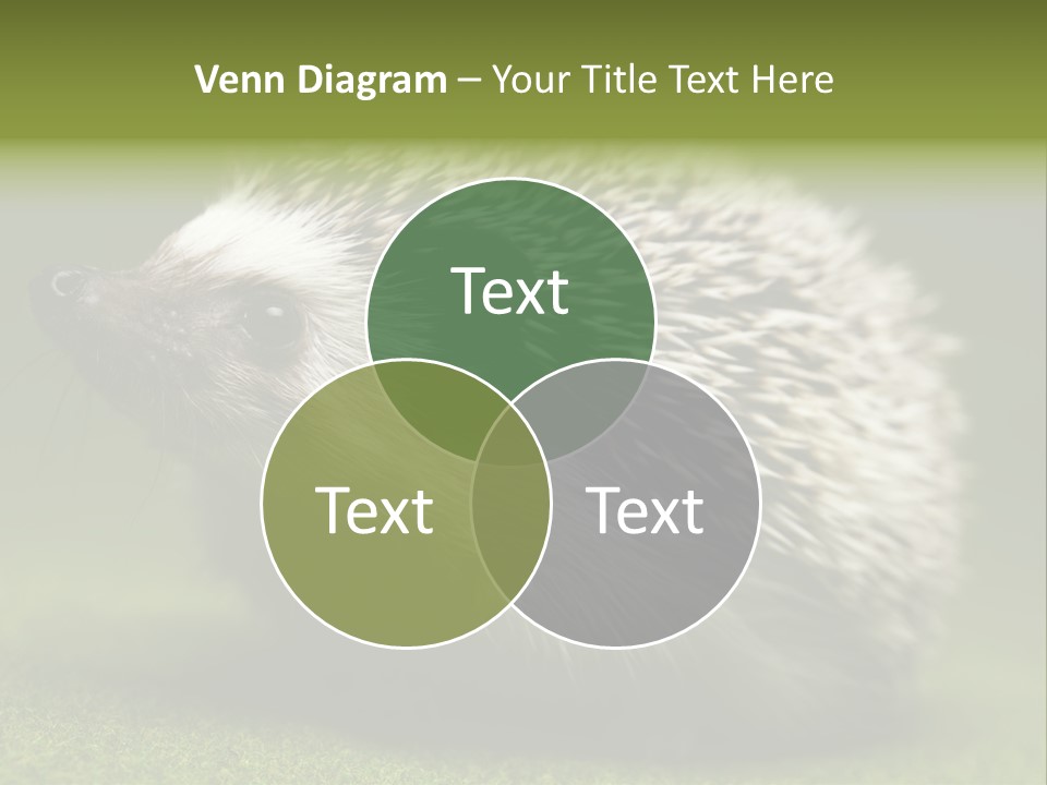 Shot Wildlife Protection PowerPoint Template