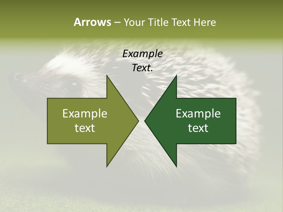 Shot Wildlife Protection PowerPoint Template