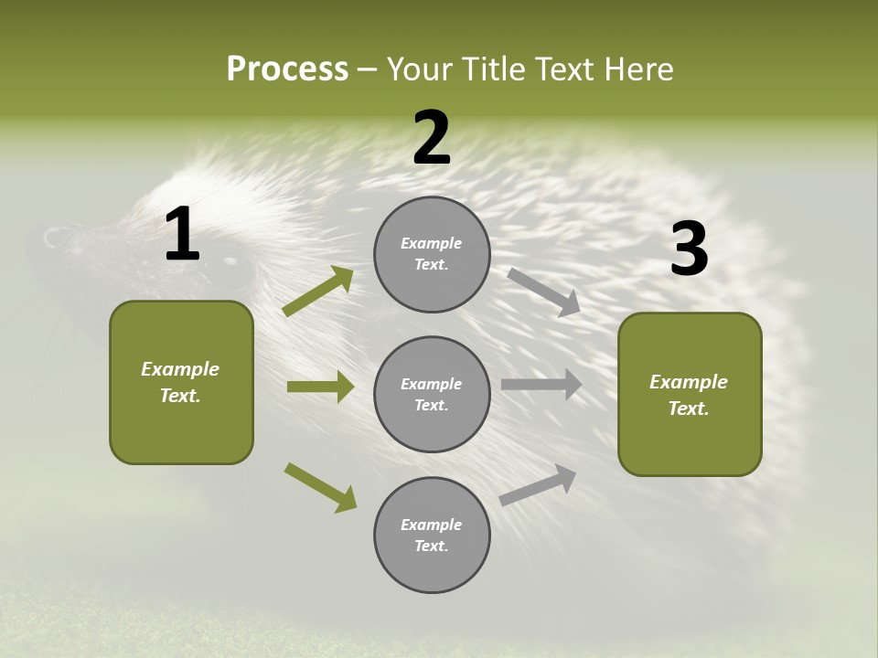 Shot Wildlife Protection PowerPoint Template