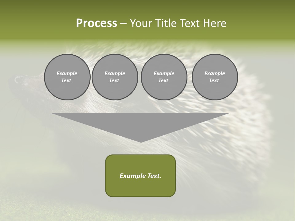 Shot Wildlife Protection PowerPoint Template