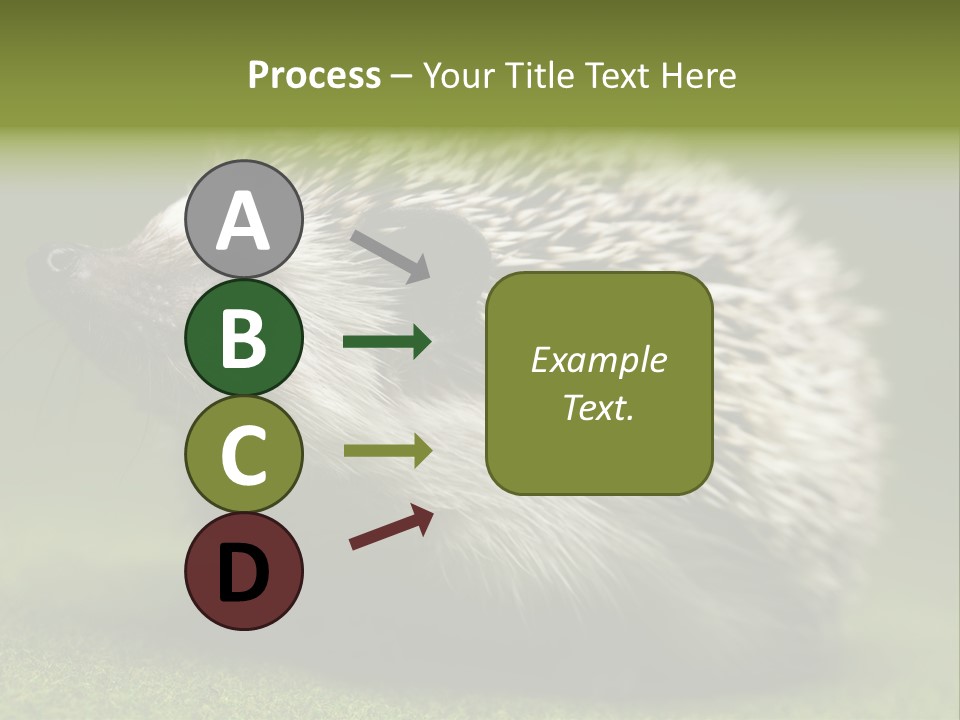 Shot Wildlife Protection PowerPoint Template