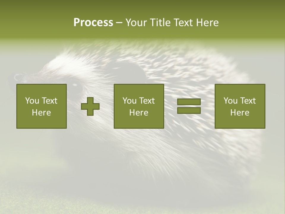Shot Wildlife Protection PowerPoint Template