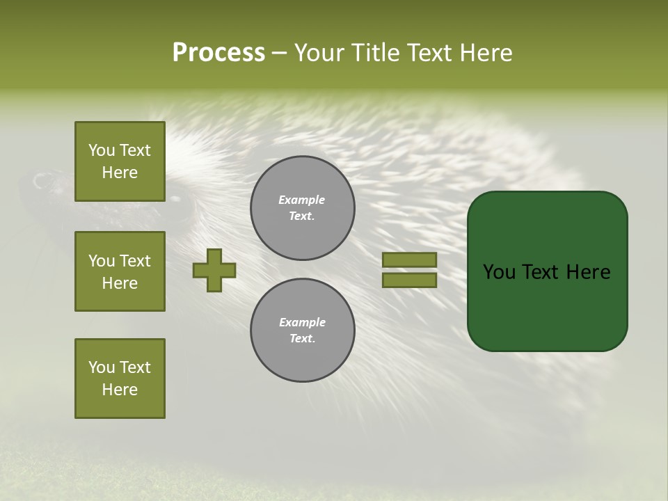 Shot Wildlife Protection PowerPoint Template