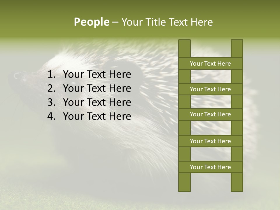 Shot Wildlife Protection PowerPoint Template