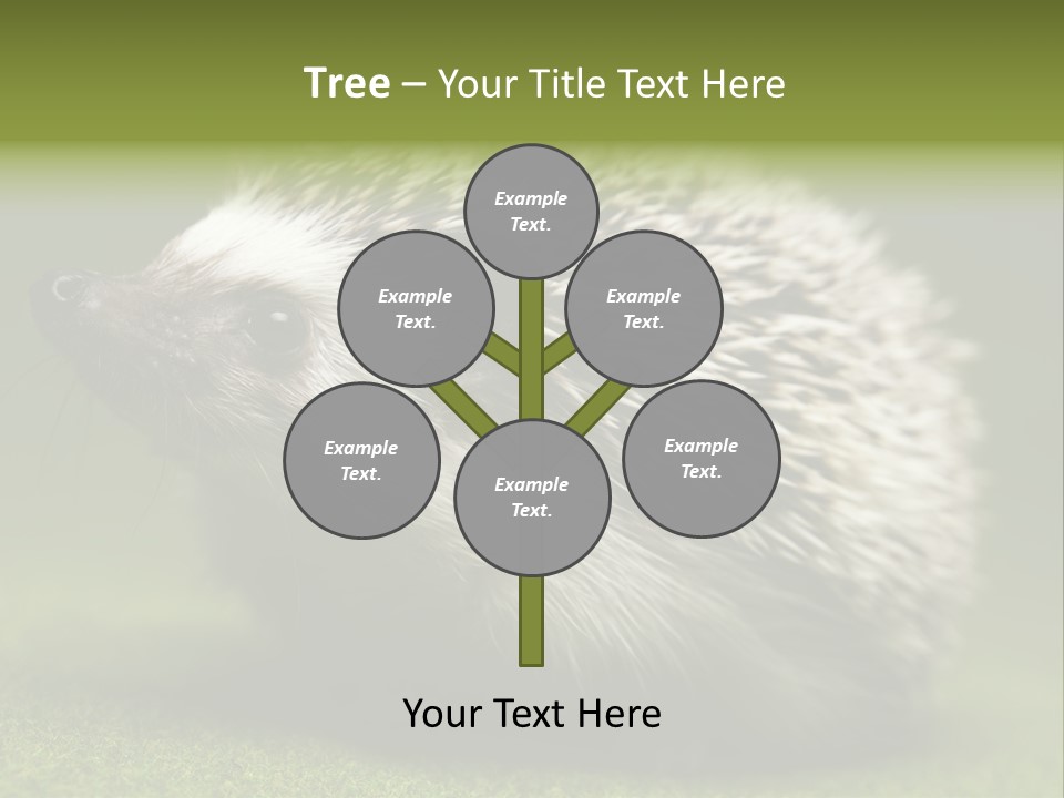 Shot Wildlife Protection PowerPoint Template