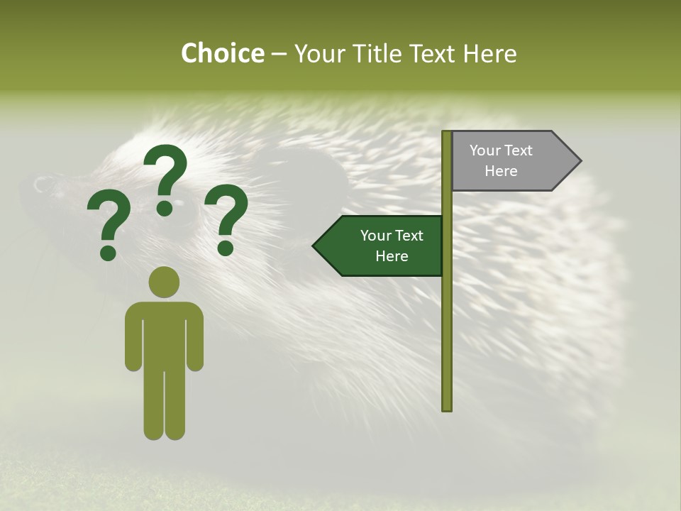 Shot Wildlife Protection PowerPoint Template