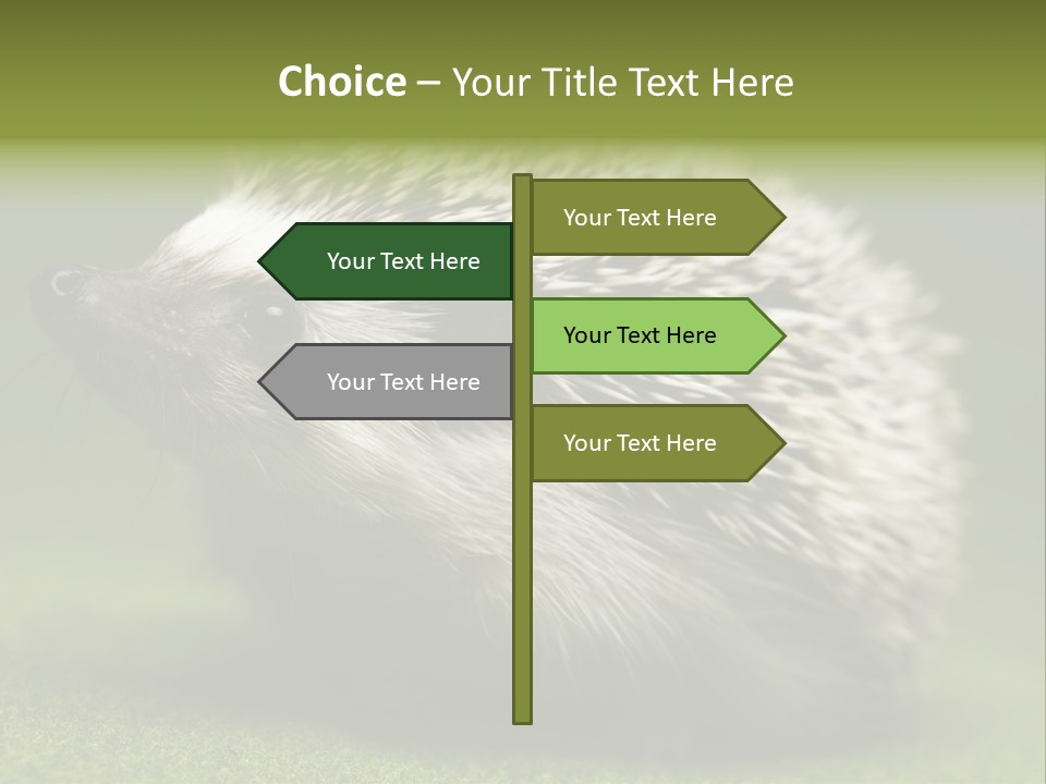 Shot Wildlife Protection PowerPoint Template
