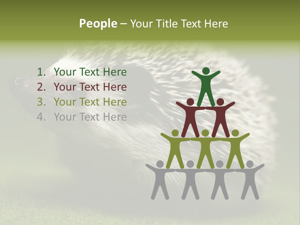 Shot Wildlife Protection PowerPoint Template