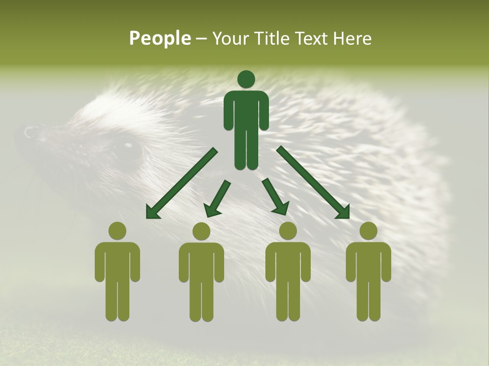 Shot Wildlife Protection PowerPoint Template