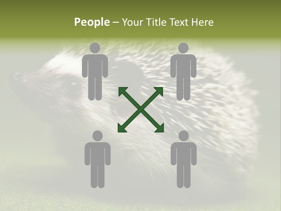 Shot Wildlife Protection PowerPoint Template