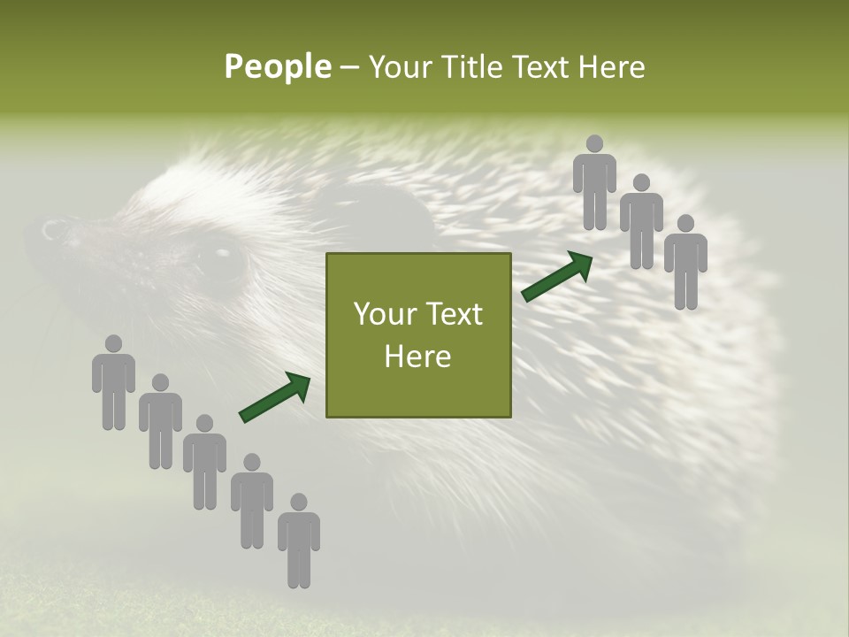 Shot Wildlife Protection PowerPoint Template